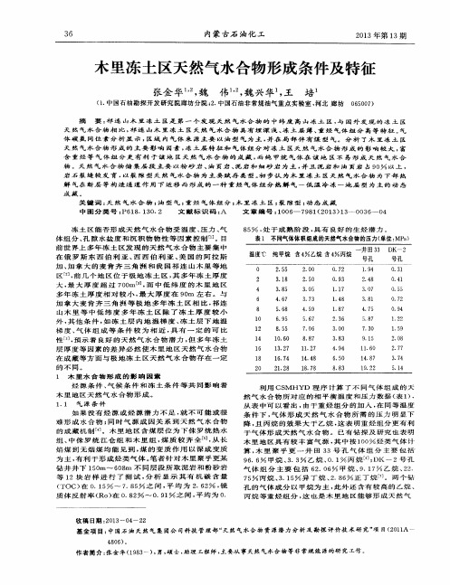 木里冻土区天然气水合物形成条件及特征