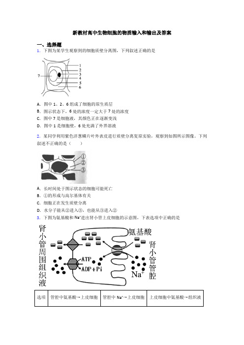 新教材高中生物细胞的物质输入和输出及答案