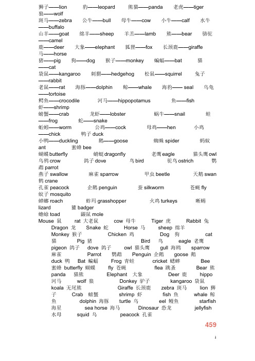 常用动物英文名字