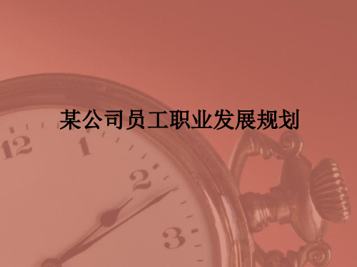 某公司员工职业发展规划(PPT 34页)