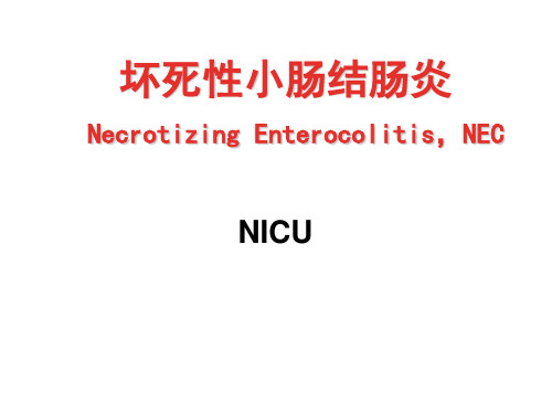 NEC(新生儿坏死性小肠结肠炎)