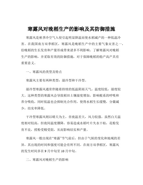 寒露风对晚稻生产的影响及其防御措施