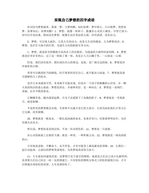 实现自己梦想的四字成语