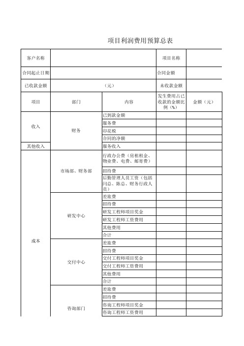 IT行业项目利润测算表