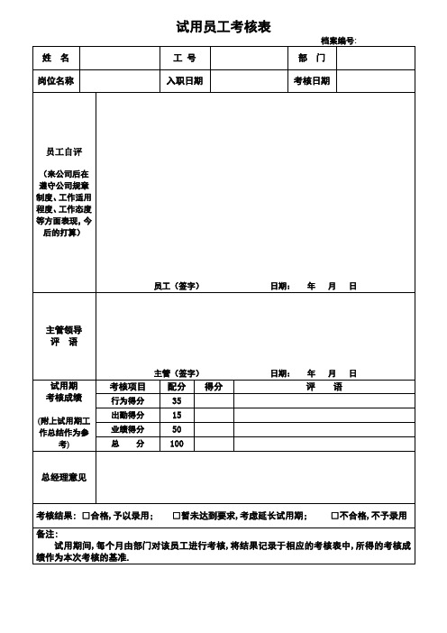 试用期员工考核表模板