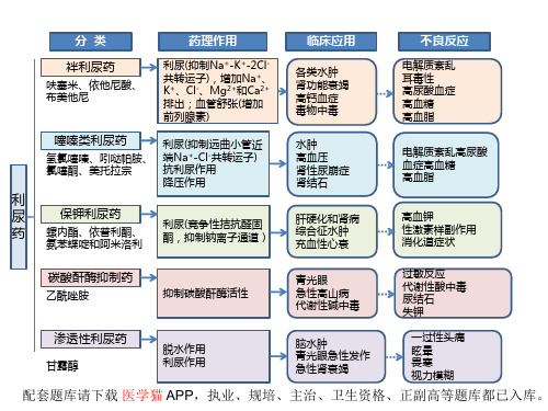 药理学(第9版)第二十四章 利尿药 本章小结