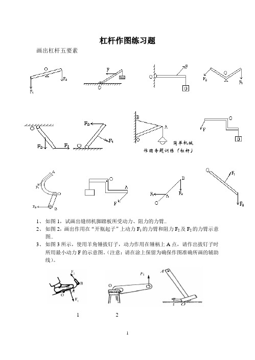 杠杆、滑轮作图习题