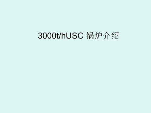 1000MW USC锅炉介绍