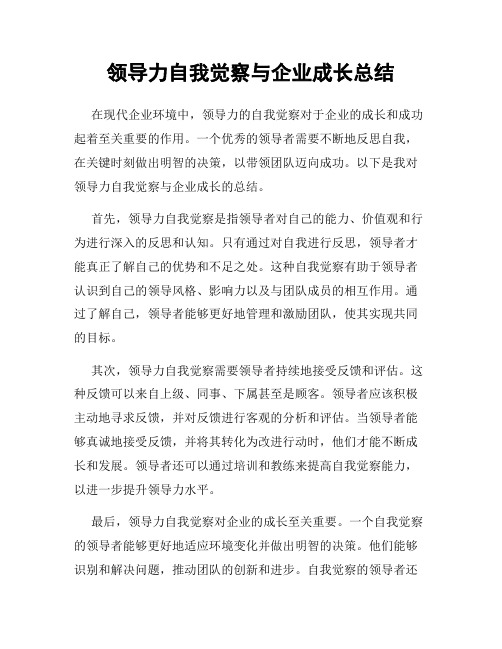 领导力自我觉察与企业成长总结