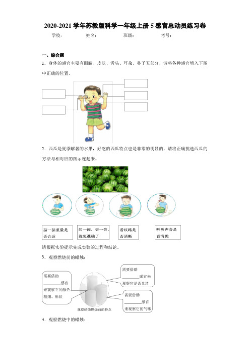 2020-2021学年苏教版科学一年级上册5感官总动员练习卷