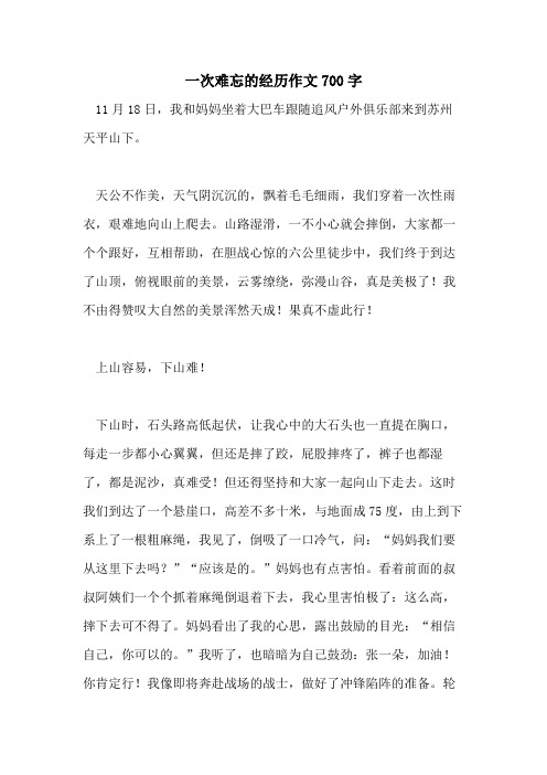 一次难忘的经历作文700字