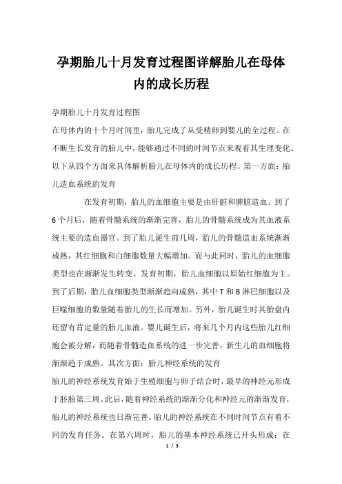 孕期胎儿十月发育过程图详解胎儿在母体内的成长历程