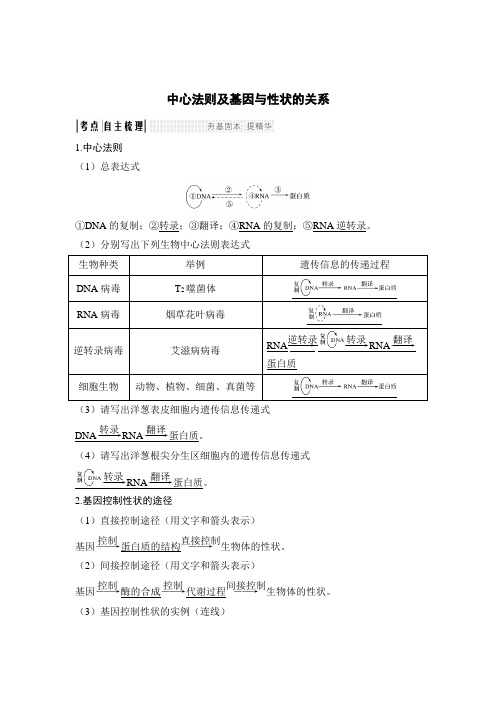 经典高中生物-中心法则及基因与性状的关系