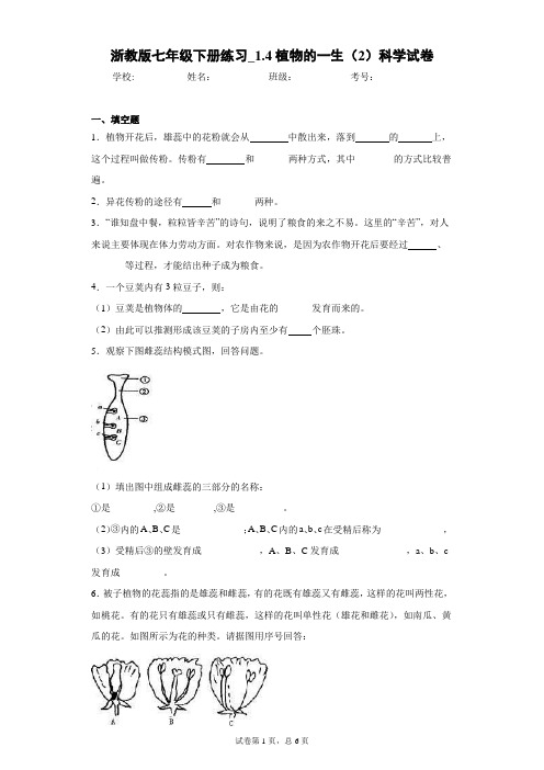 浙教版七年级下册练习_1.4植物的一生(2)科学试卷