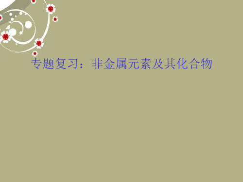 浙江省绍兴市高三化学专题复习课件 非金属元素及其化合物 新人教版