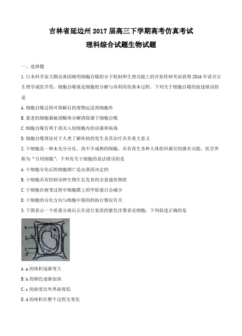 吉林省延边州2017届高三下学期高考仿真考试生物试题(含答案)