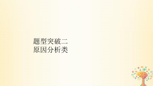 2020届高考地理大二轮专题复习课件：第二编专题五综合题技法突破题型突破二