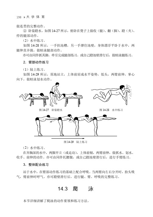 爬 泳_大学体育_[共4页]