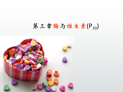 酶和维生素1.ppt