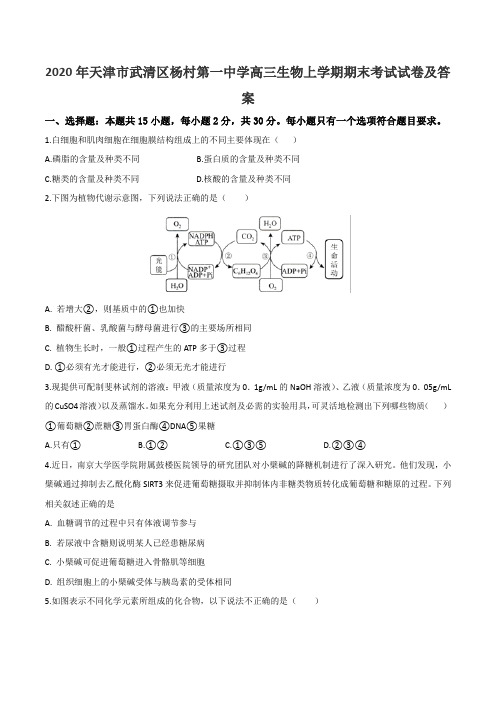 2020年天津市武清区杨村第一中学高三生物上学期期末考试试卷及答案