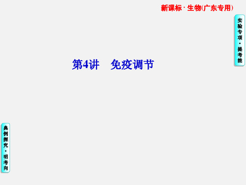 高三生物 专题复习 免疫调节课件