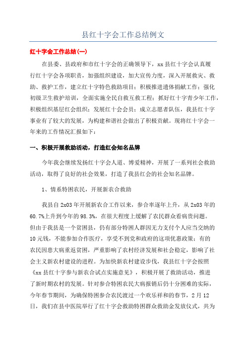 县红十字会工作总结例文