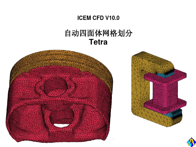 第四节 ICEM-四面体网格