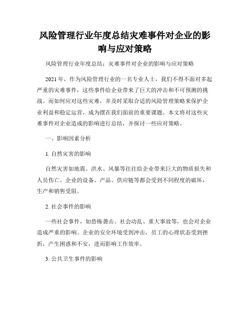 风险管理行业年度总结灾难事件对企业的影响与应对策略