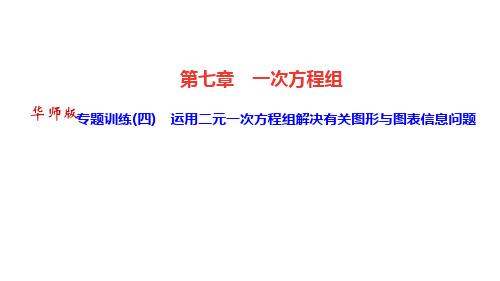 华师版七年级数学下册 第七章一次方程组 专题训练(四) 运用二元一次方程组解决有关图形与图表信息问题