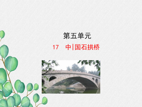 《中国石拱桥  》课件 (公开课一等奖)2022年部编版小学语文