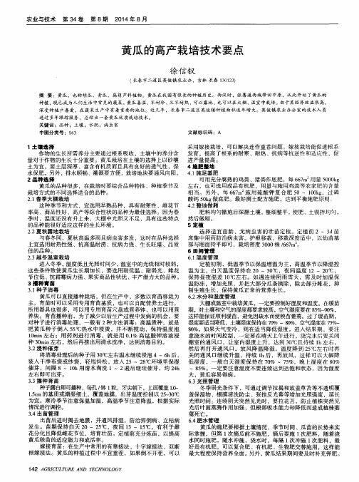 黄瓜的高产栽培技术要点