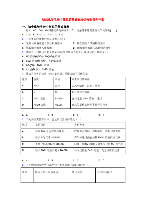 初三化学生活中常见的盐提高培优特训卷含答案