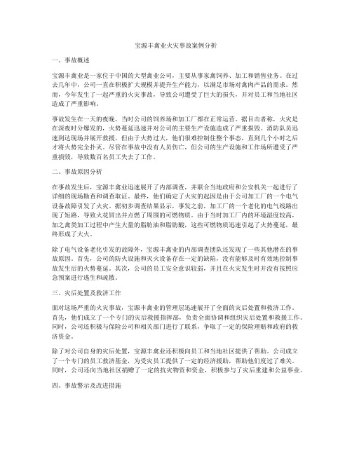 宝源丰禽业火灾事故案例分析