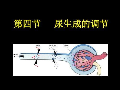 排泄生理本科三