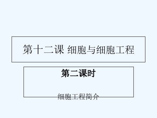 细胞工程简介复习 PPT