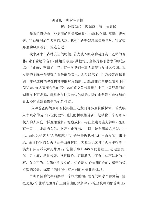 美丽的牛山森林公园