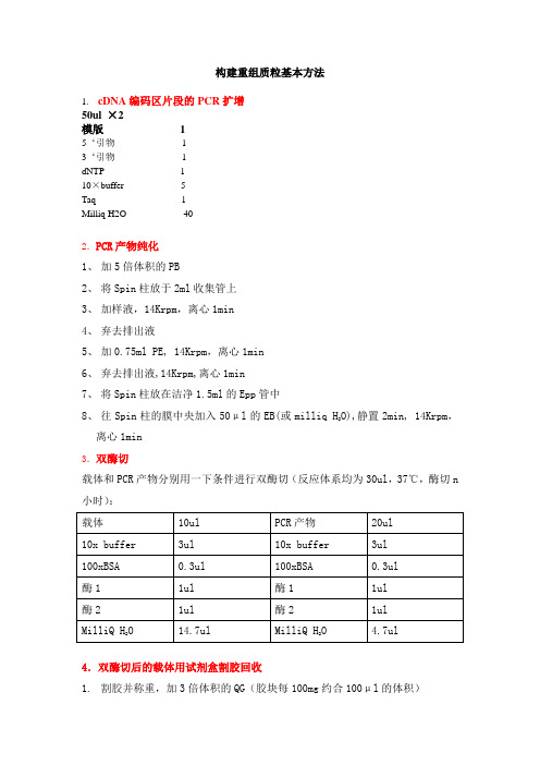 构建重组质粒基本方法