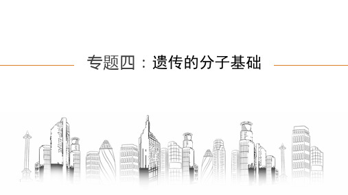 高三一轮复习生物：专题四：遗传的分子基础(1)课件