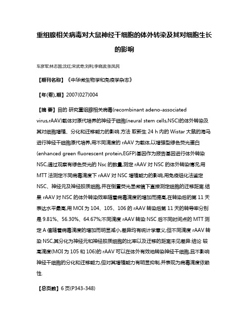 重组腺相关病毒对大鼠神经干细胞的体外转染及其对细胞生长的影响