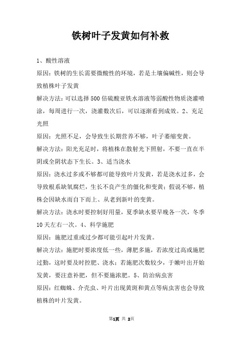 铁树叶子发黄如何补救 