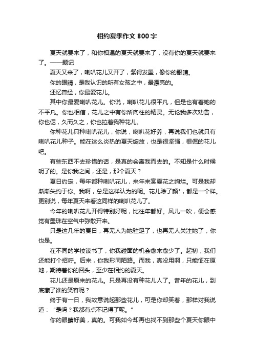 相约夏季作文800字