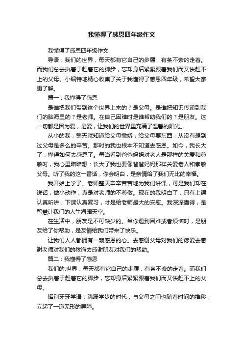 我懂得了感恩四年级作文