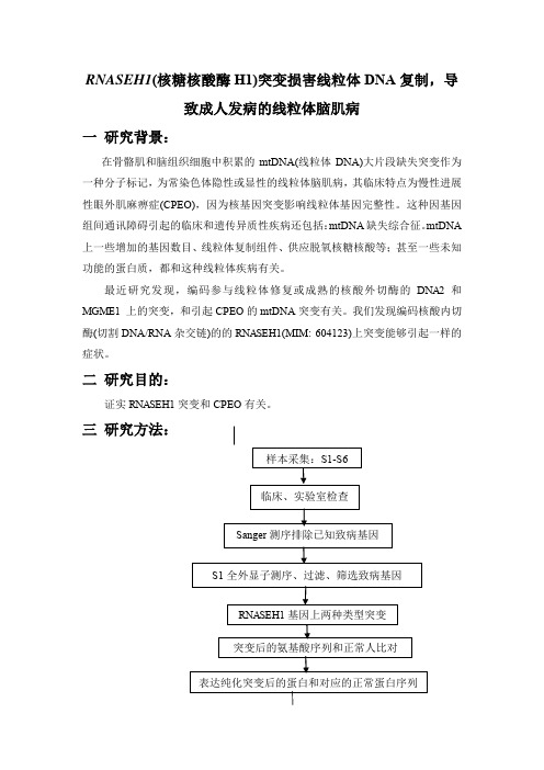 RNASEH1(核糖核酸酶H1)突变损害线粒体DNA复制,导致成人发病的线粒体脑肌病