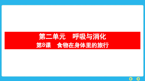 教科版科学四年级上册第二单元 呼吸与消化第8课 食物在身体里的旅行