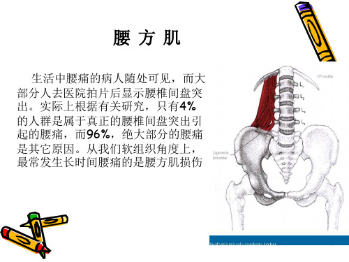 处理腰方肌受损