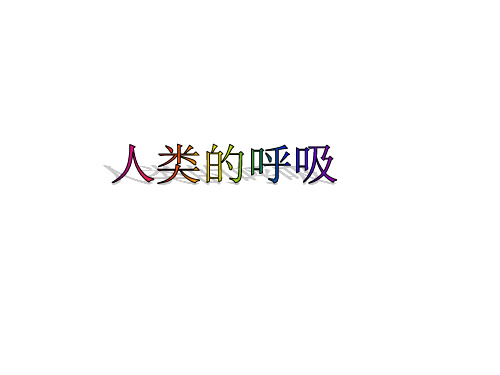 人类的呼吸(PPT课件(初中科学)16张)