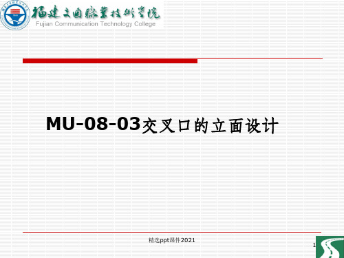 交叉口竖向设计PPT课件