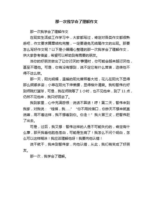 那一次我学会了理解作文