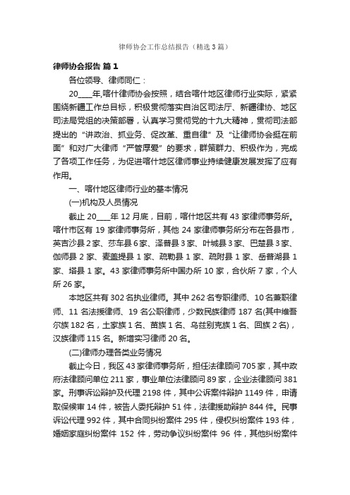 律师协会工作总结报告（精选3篇）