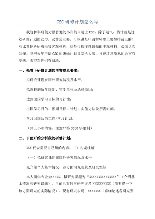 CSC研修计划怎么写